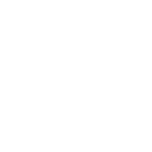 Encre Alimentaire